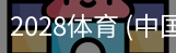 2028体育